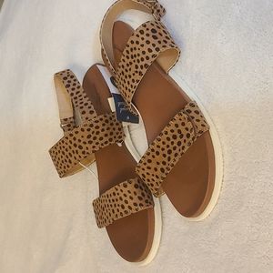 Leopard print sandals by a new day